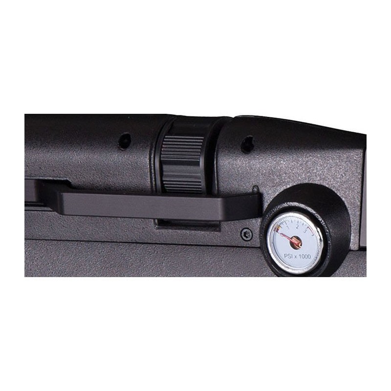 Carabine PCP Crosman Benjamin Bulldog 357 19.9J...