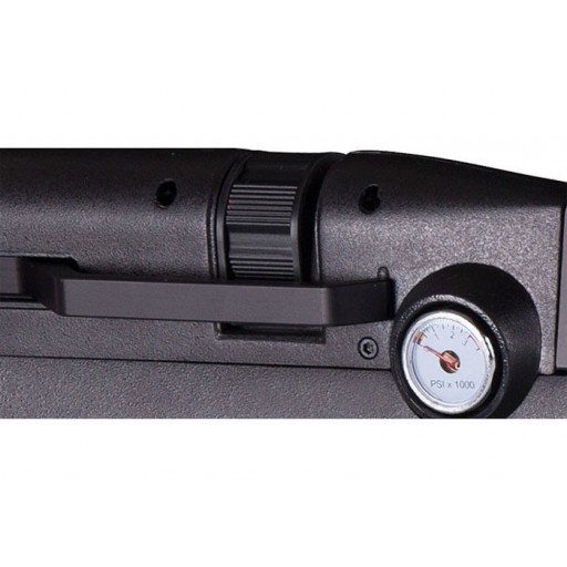 Carabine PCP Crosman Benjamin Bulldog 357 19.9J - CAL 357/9mm