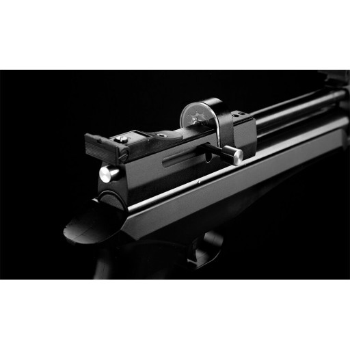 Pistolet-Carabine à Plomb Artemis CP2 Noir 6J - CAL 4.5