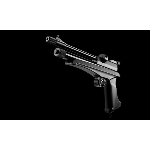 Pack Pistolet-Carabine CP2 Noir 10J - CAL 5.5