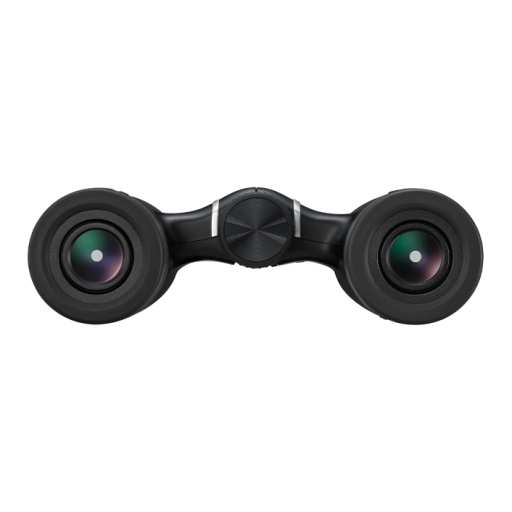 Jumelles Aculon T02 10x21 Noir Nikon