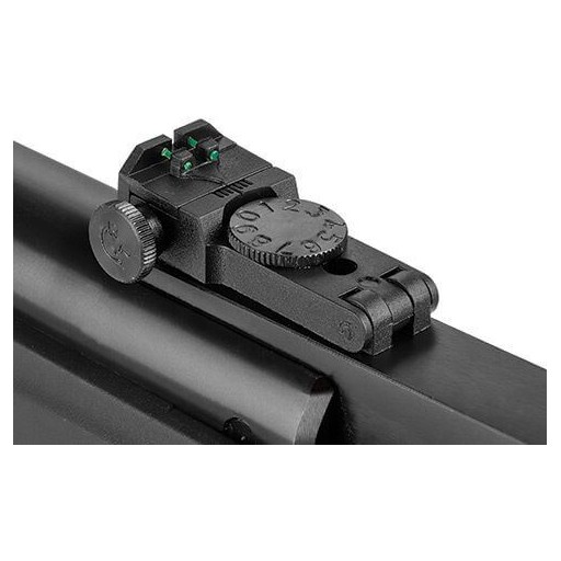 Carabine à Plomb Hatsan Striker 1000X 19J - CAL 4.5