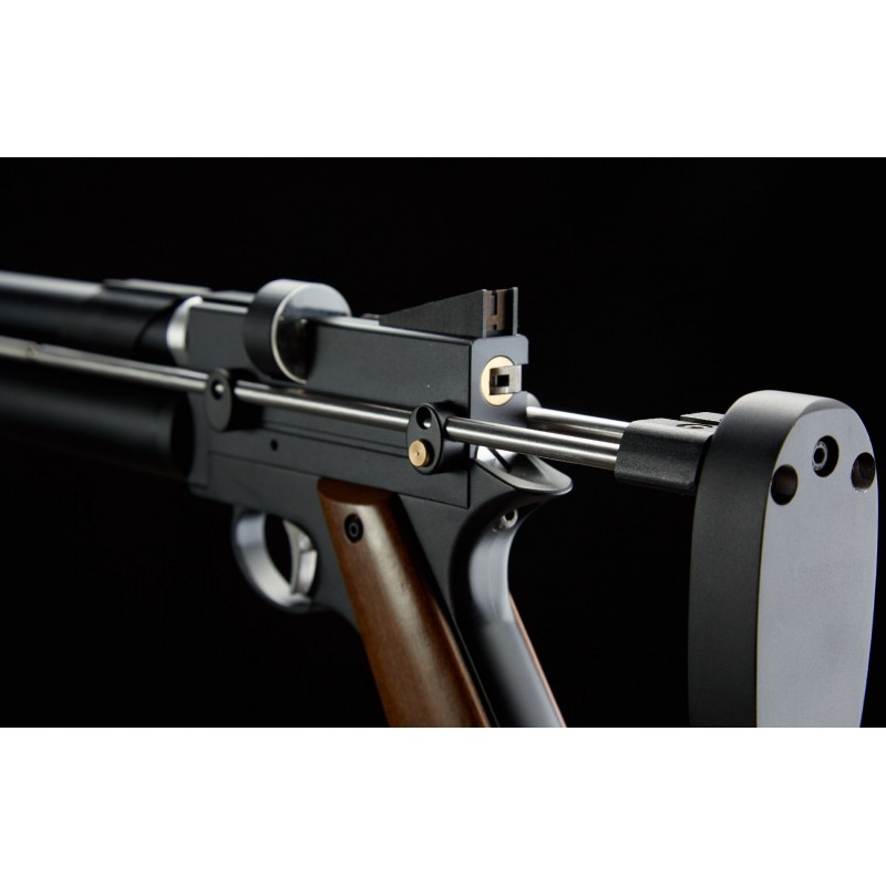 Pack Pistolet Snowpeak PP750 + pompe - calibre 4.5