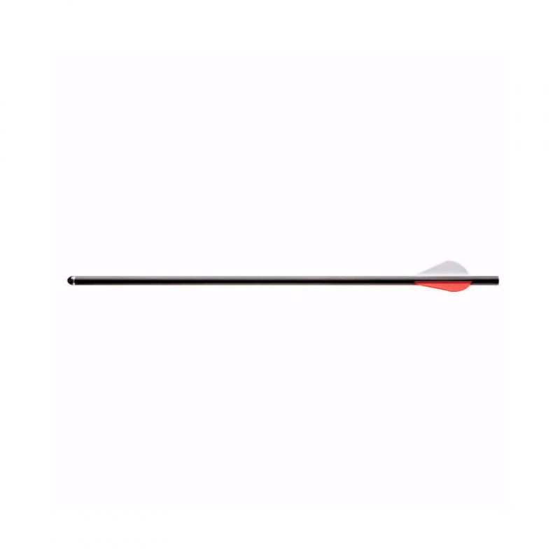 Boîte de 6 flèches pour Air Javelin