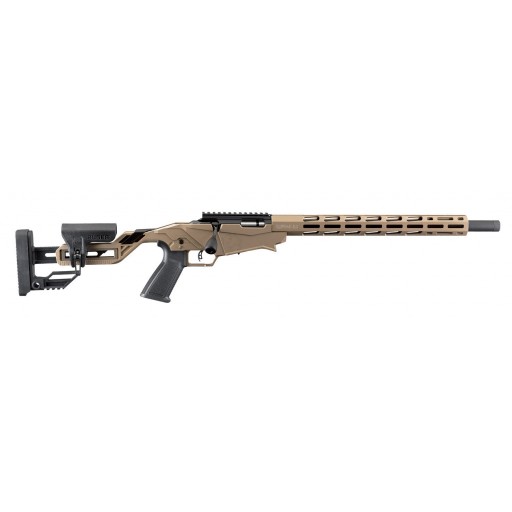 Carabine Ruger Precision...