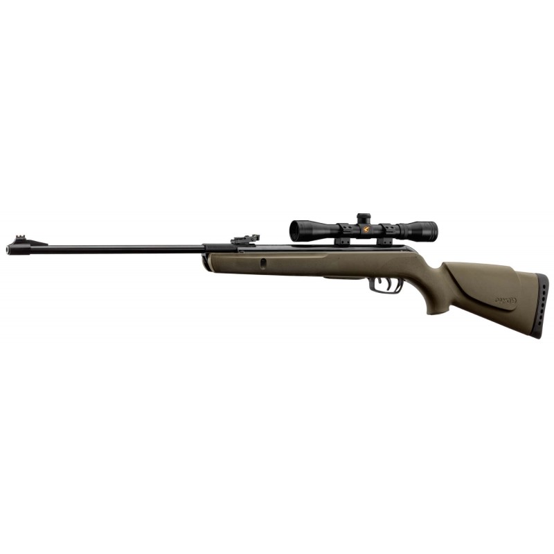 Pack Carabine Gamo Big Cat 1000E Barricade -...