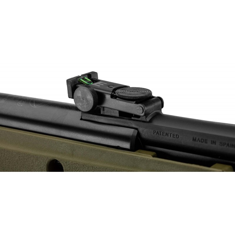 Pack Carabine Gamo Big Cat 1000E Barricade -...