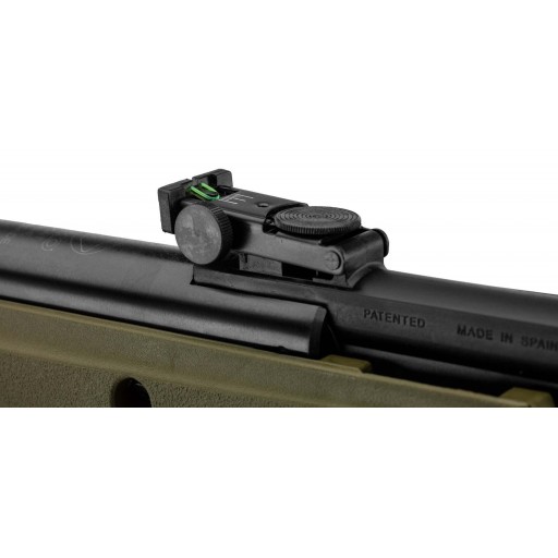 Pack Carabine Gamo Big Cat 1000E Barricade - calibre 4.5mm