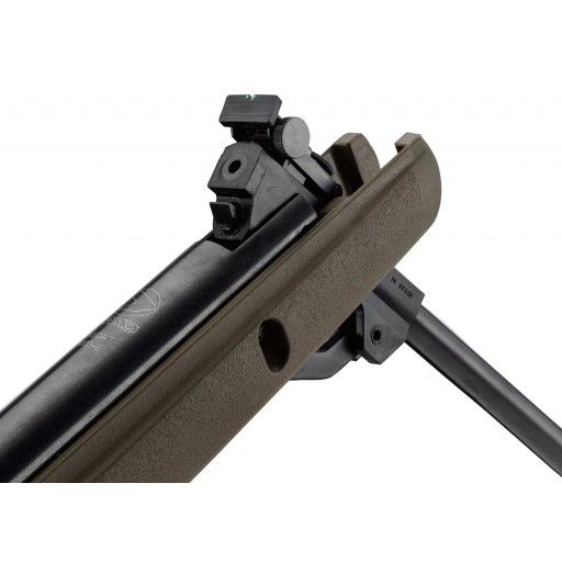 Pack Carabine Gamo Big Cat 1000E Barricade - calibre 4.5mm