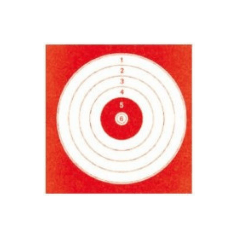 10 cibles cartonnées 14 x 14 cm loisirs