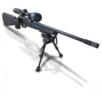 Pack Carabine ISSC SPA 22 Tactical - calibre 22LR