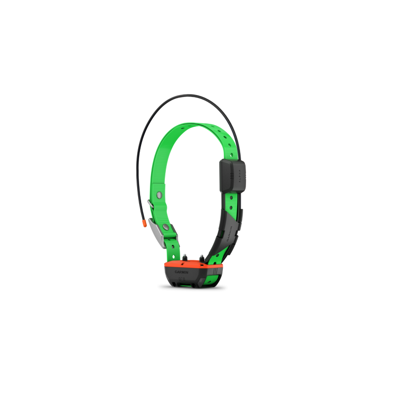 Collier Garmin de suivi et dressage - TT25F
