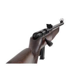 Pack Carabine à verrou Rossi 8122 Bois - calibre 22 LR