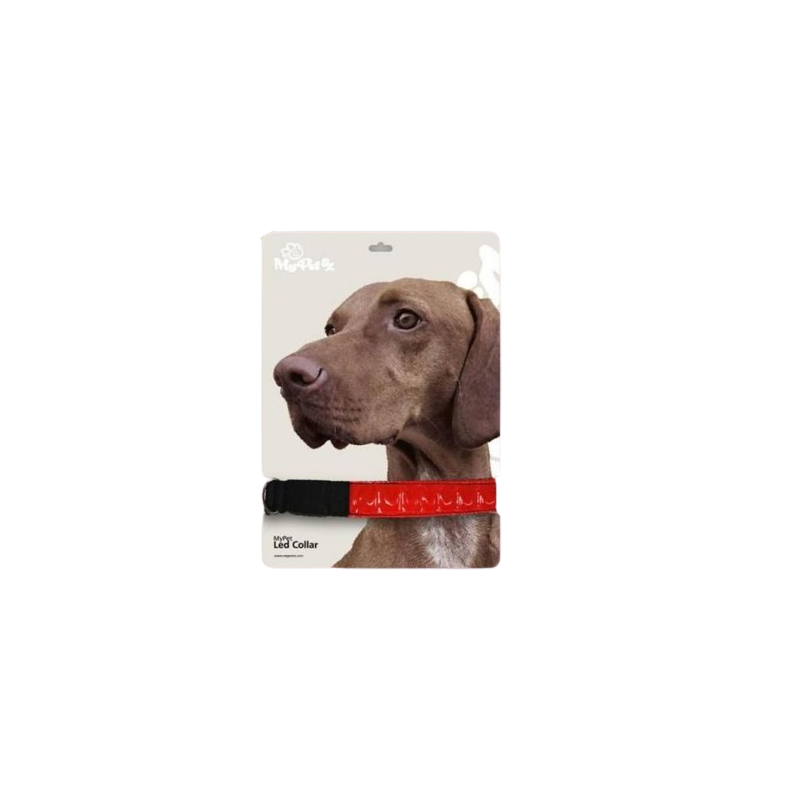 Collier à led pour chiens