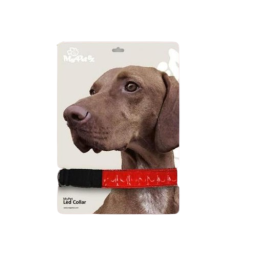 Collier à led pour chiens