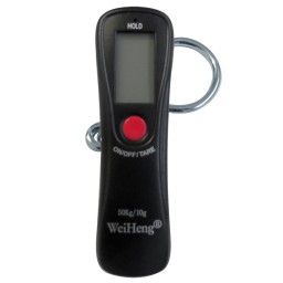 Peson électronique 50 kg