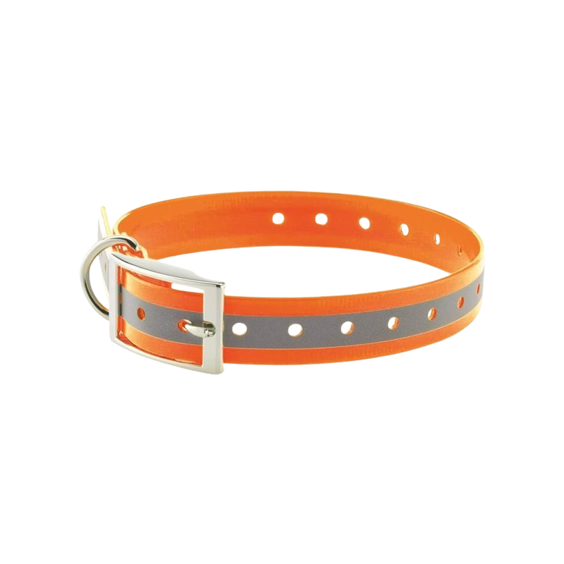 Collier pour chien fluo - Country