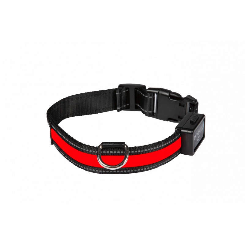 Collier lumineux pour chiens