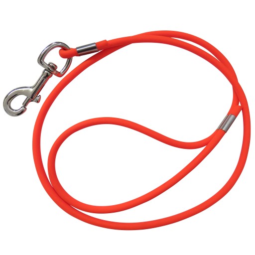 Laisse ronde orange pour chien