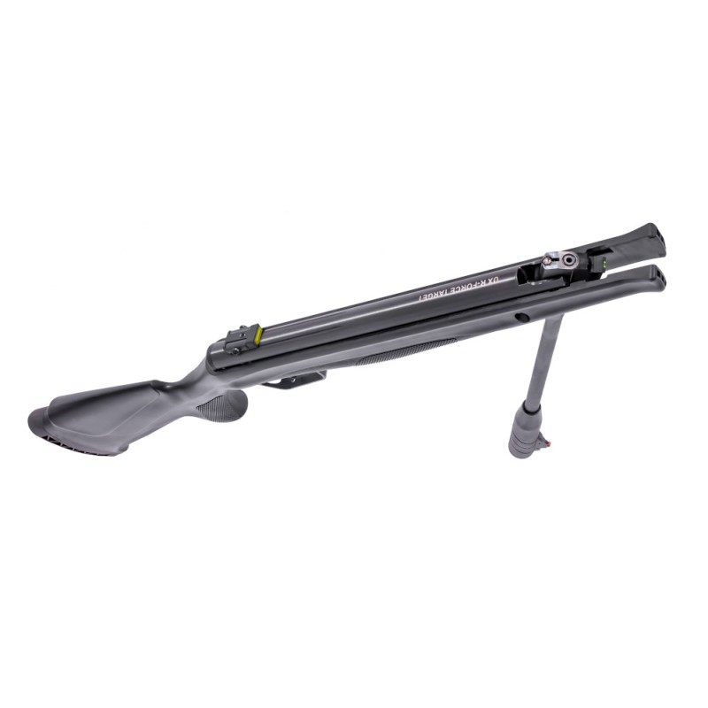 Pack Carabine Umarex R-Force Target GPT 19,9J -...