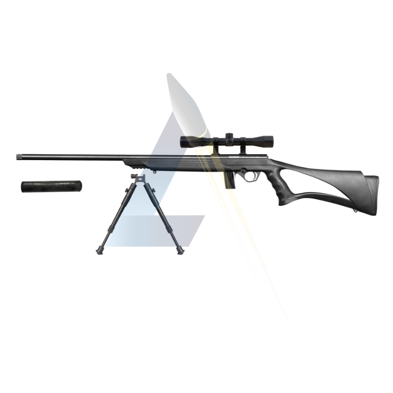 Pack Carabine Rossi 8122 Tactical - calibre 22LR