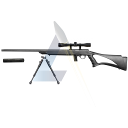 Pack Carabine Rossi 8122 Tactical - calibre 22LR