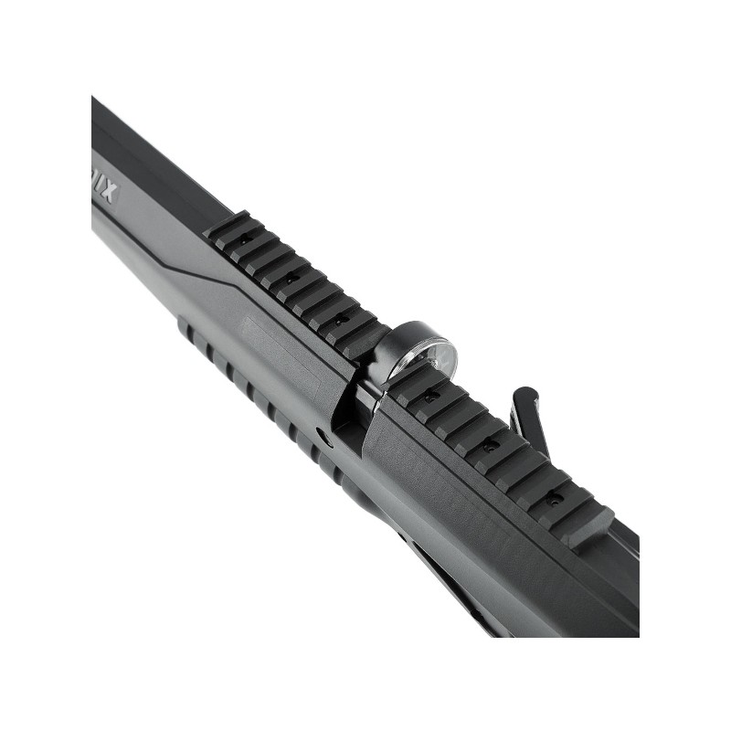 Carabine PCP Umarex Iconix 19,9J - calibre 4,5mm