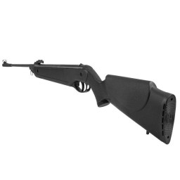 Pack Carabine Rossi Dione 5G 19,9J - calibre 4,5mm