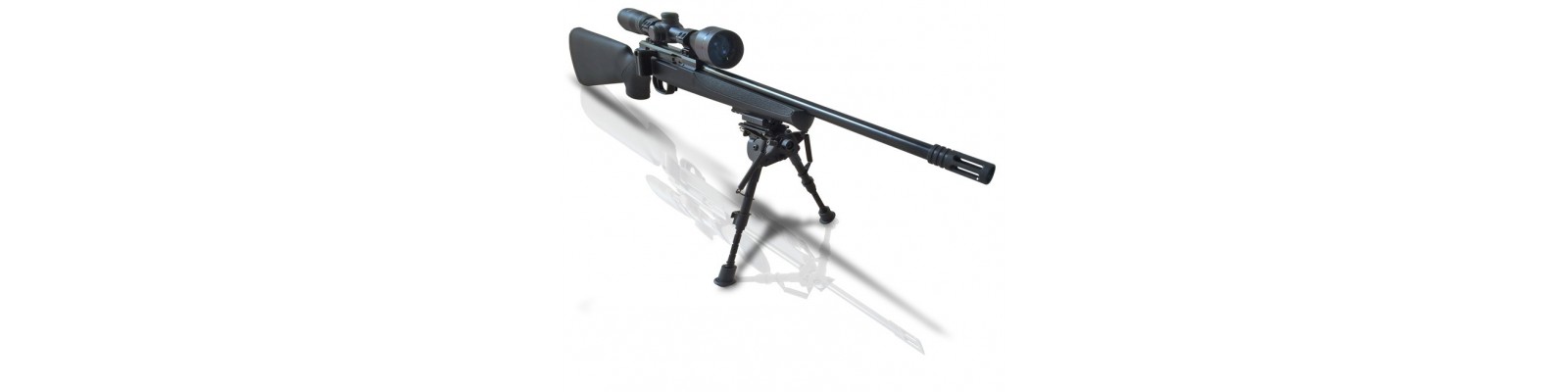 Carabines de tir sportif 17HMR et 22LR